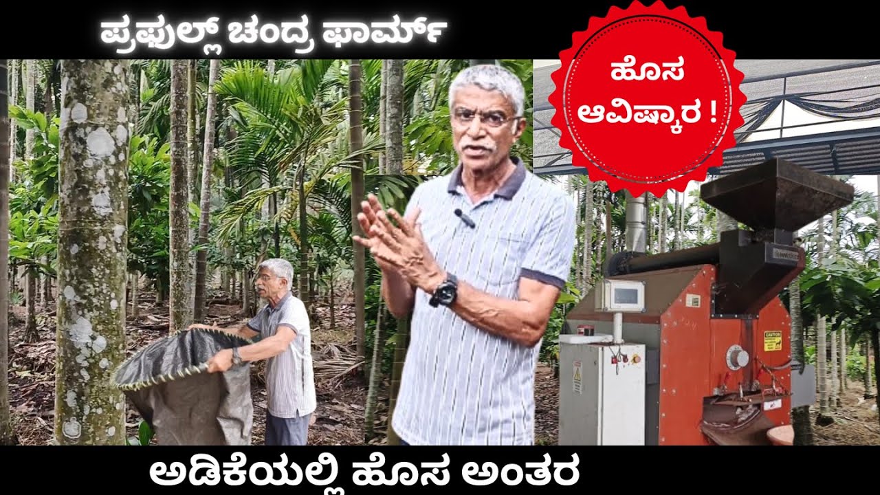 New scientific Arecanut Spacing 🌱| Part 1 | ಅಡಿಕೆಯಲ್ಲಿ ಹೊಸ ಅಂತರ 🆕| ಸವ್ಯಾಸಾಚಿ |KSNUAHS | Shivamogga