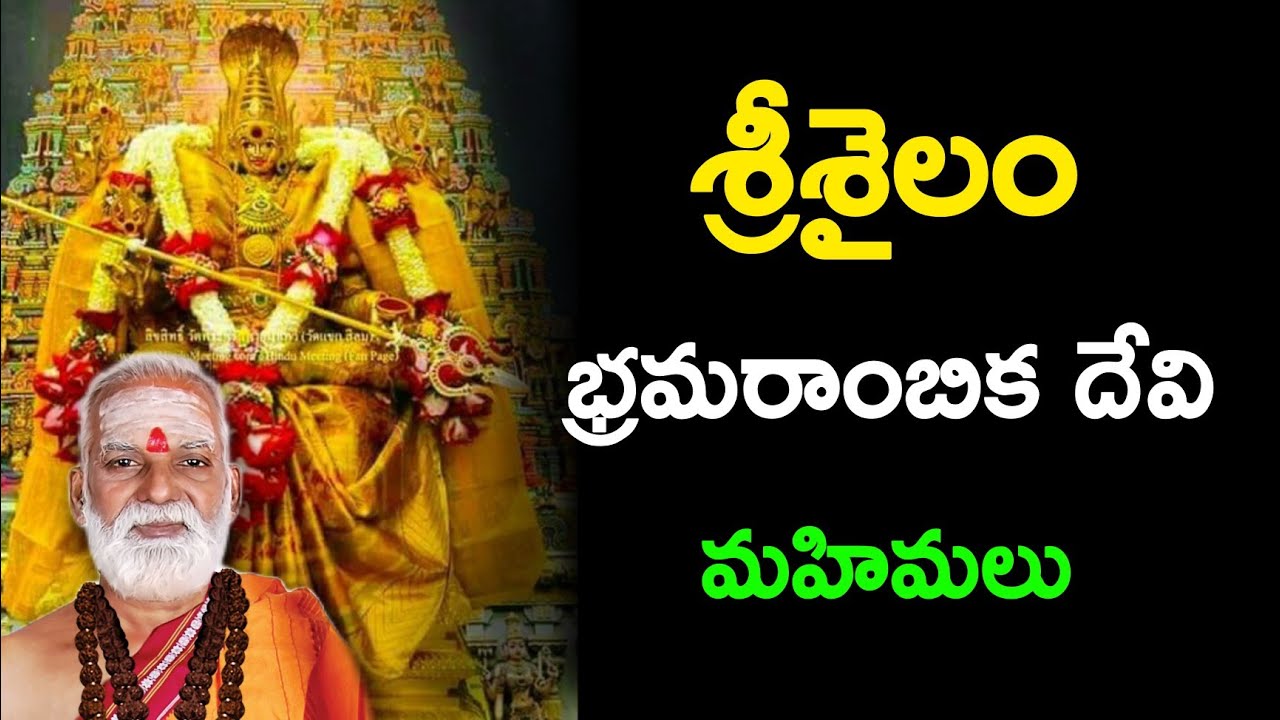 శ్రీశైలం భ్రమరాంబిక దేవి మహిమలు Sri Siddheswarananda Bharati swamiji pravachanam 2022 latest