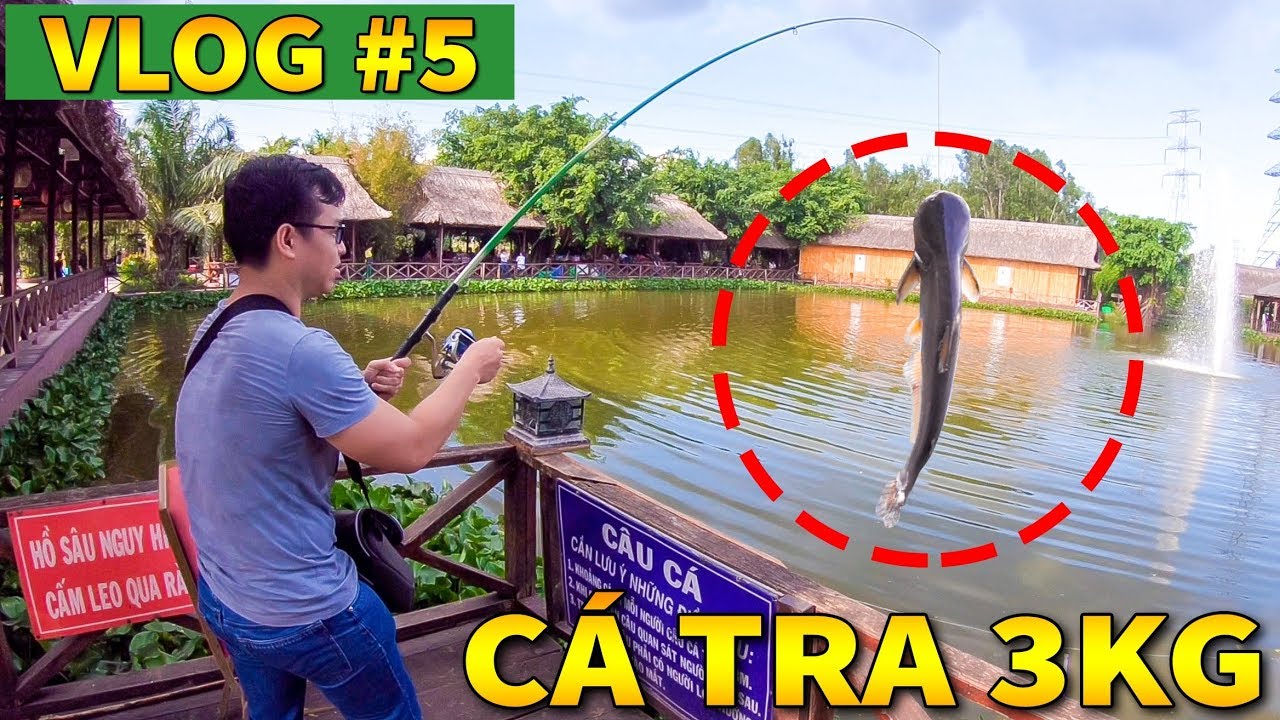 Vlog #5 | LẦU ĐẦU ĐI CÂU CÁ TRA CÙNG VAMY VÀ BẢO MẬP | KiA Phạm