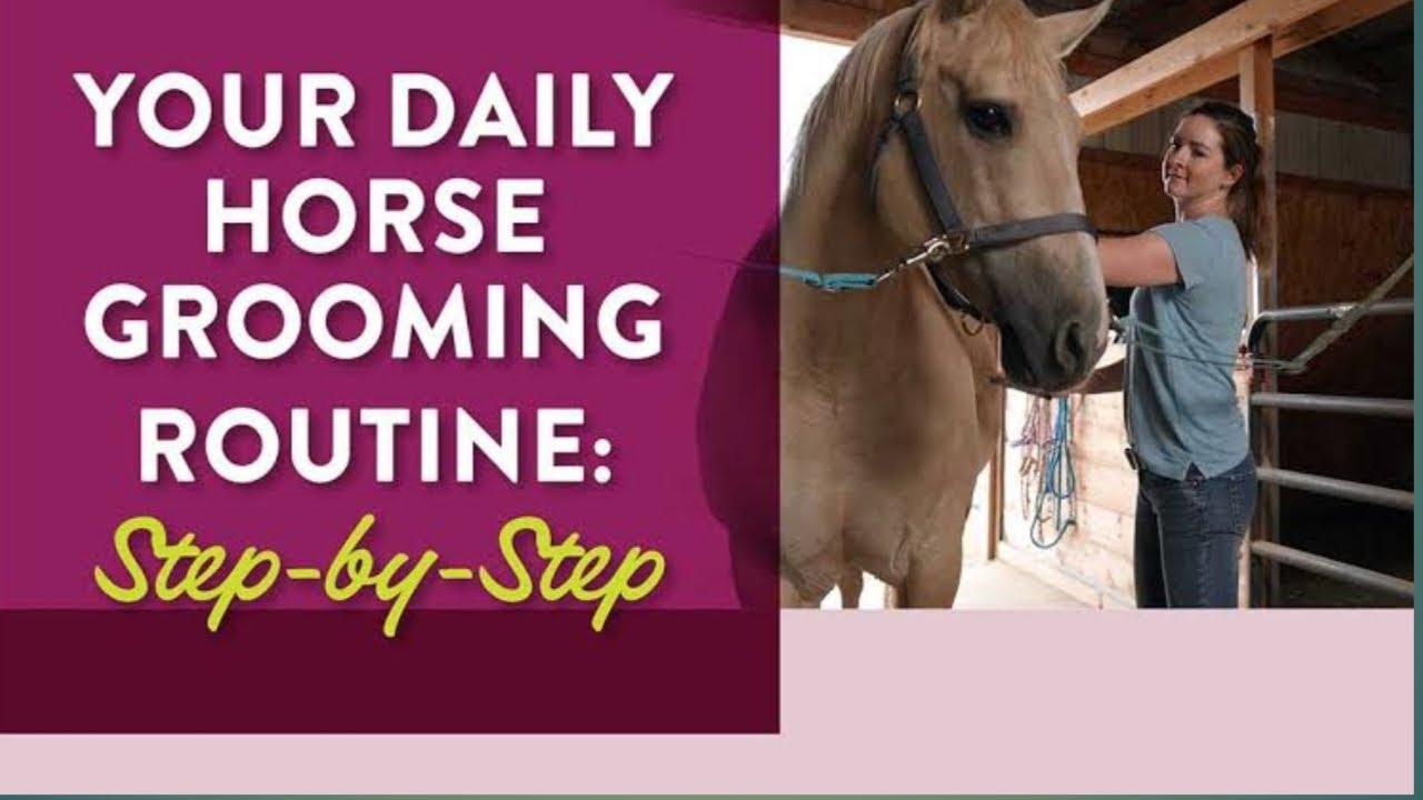 Daily Horse Grooming Routine | Step by Step Horse Care at Our Farm