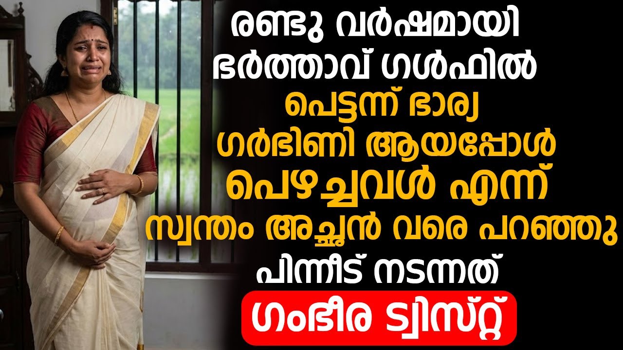 രണ്ടു വർഷമായി ഭർത്താവ് ഗൾഫിൽ, പെട്ടന്ന് ഭാര്യ ഗർഭിണി....പിന്നീട് നടന്നത് ഗംഭീര ട്വിസ്റ്റ്