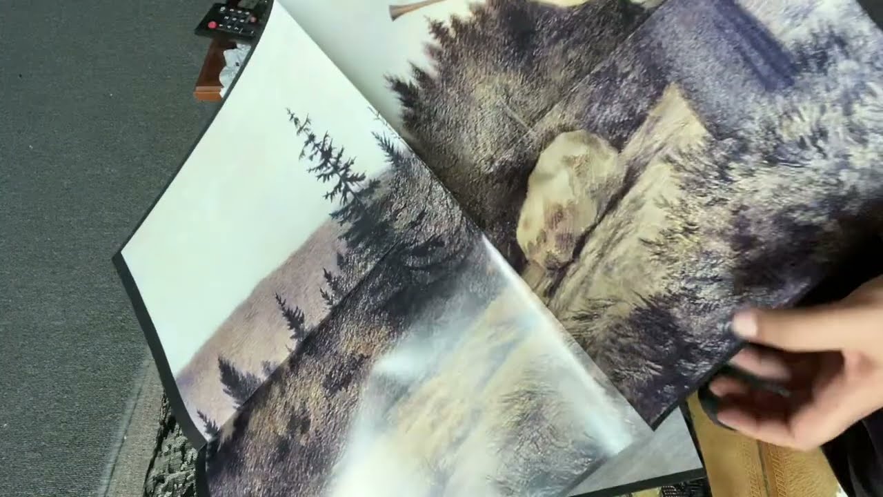 Unboxing: Burzum -  Filosofem / Satyricon - Nemesis Divina Unofficial LPs 