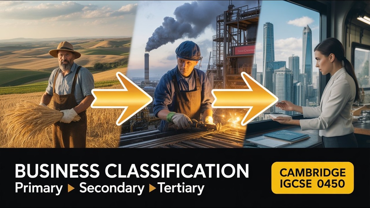 1.2 Classification of Business: 0450 Business Studies Cambridge IGCSE