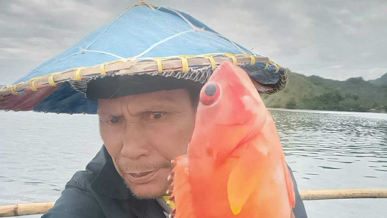 MALAKING WHALE SHARK NAGPAKITA SA ATIN