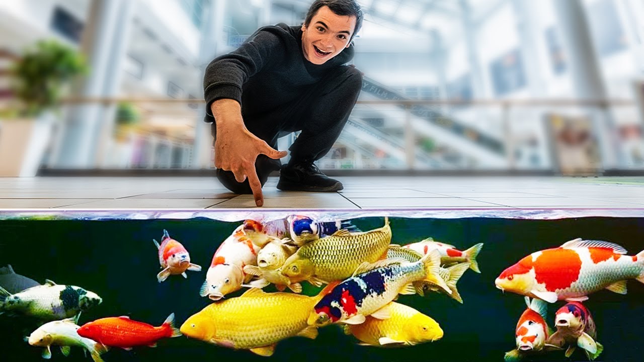 This Shopping Mall Floats On A Lake Full Of Giant Koi Fish!