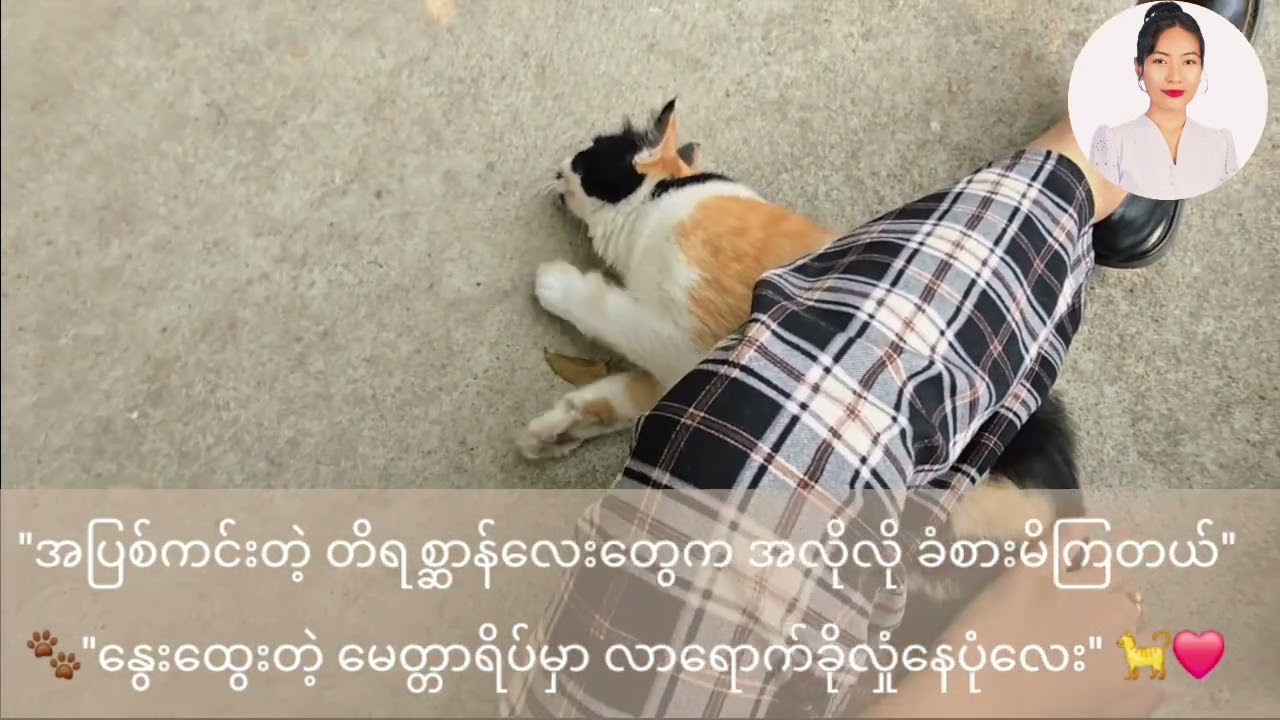 ✨ မေတ္တာကျင့်စဥ်ရဲ့ ​သဘာဝအေးရိပ်မှာခိုလှုံခြင်း #မေတ္တာဓာတ်@MudraAncientPsychologyChannel 