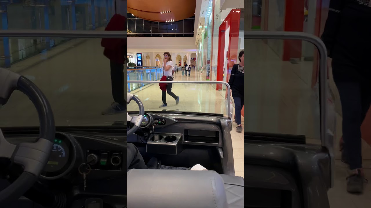 Inside Dubai Mall taxi firstime