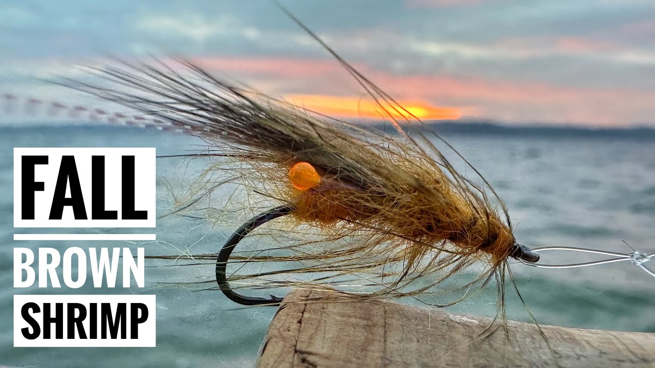FALL BROWN SHRIMP 