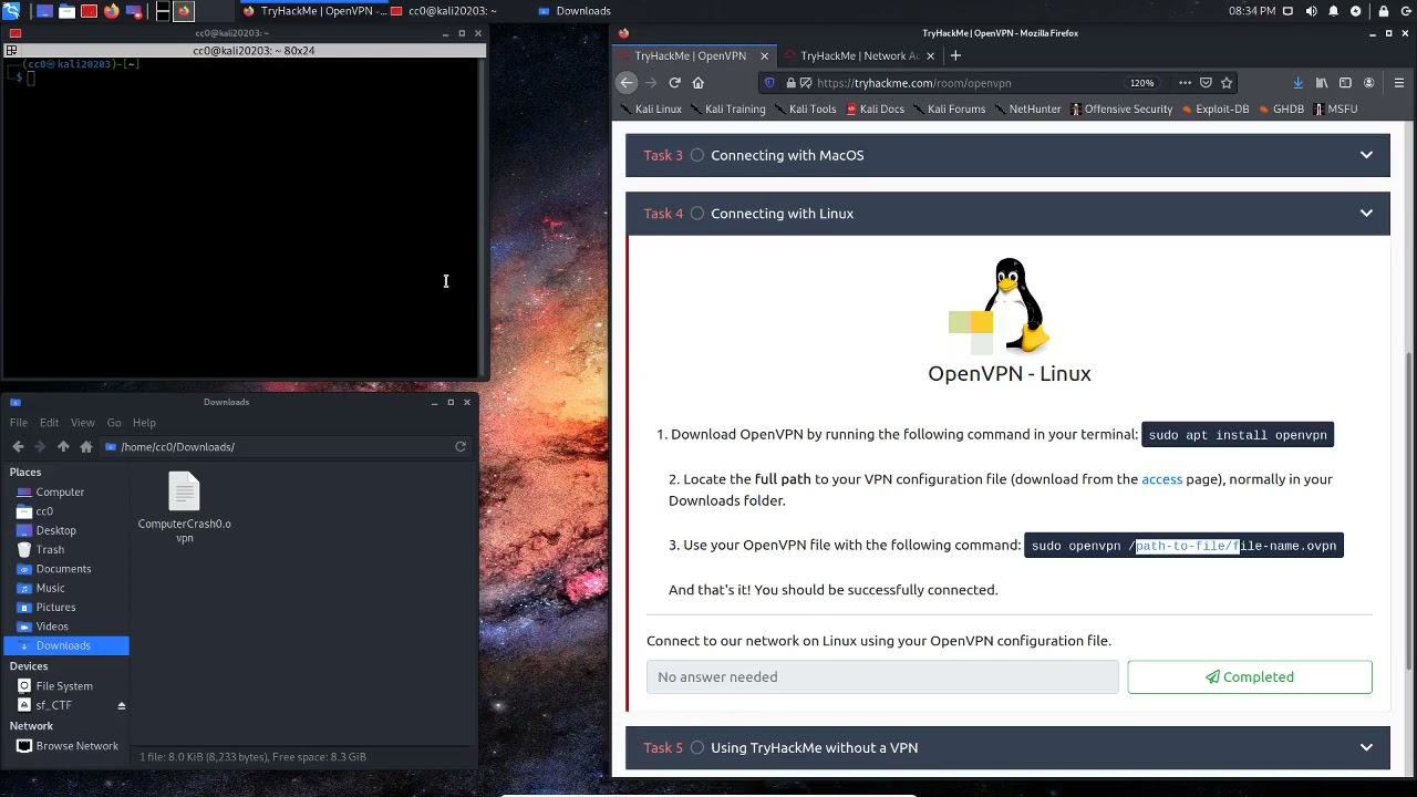 TryHackMe - Lesson 1 OpenVPN