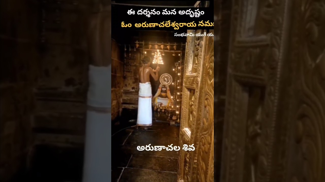 Arunachala Shiva Darshanam🚩||అరుణాచల శివ దర్శనం🕉️