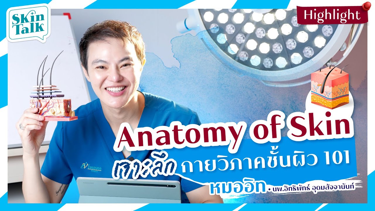 Anatomy of skin เจาะลึกกายภาคชั้นผิว 101 Skin Talk Ep.6 [1/4]