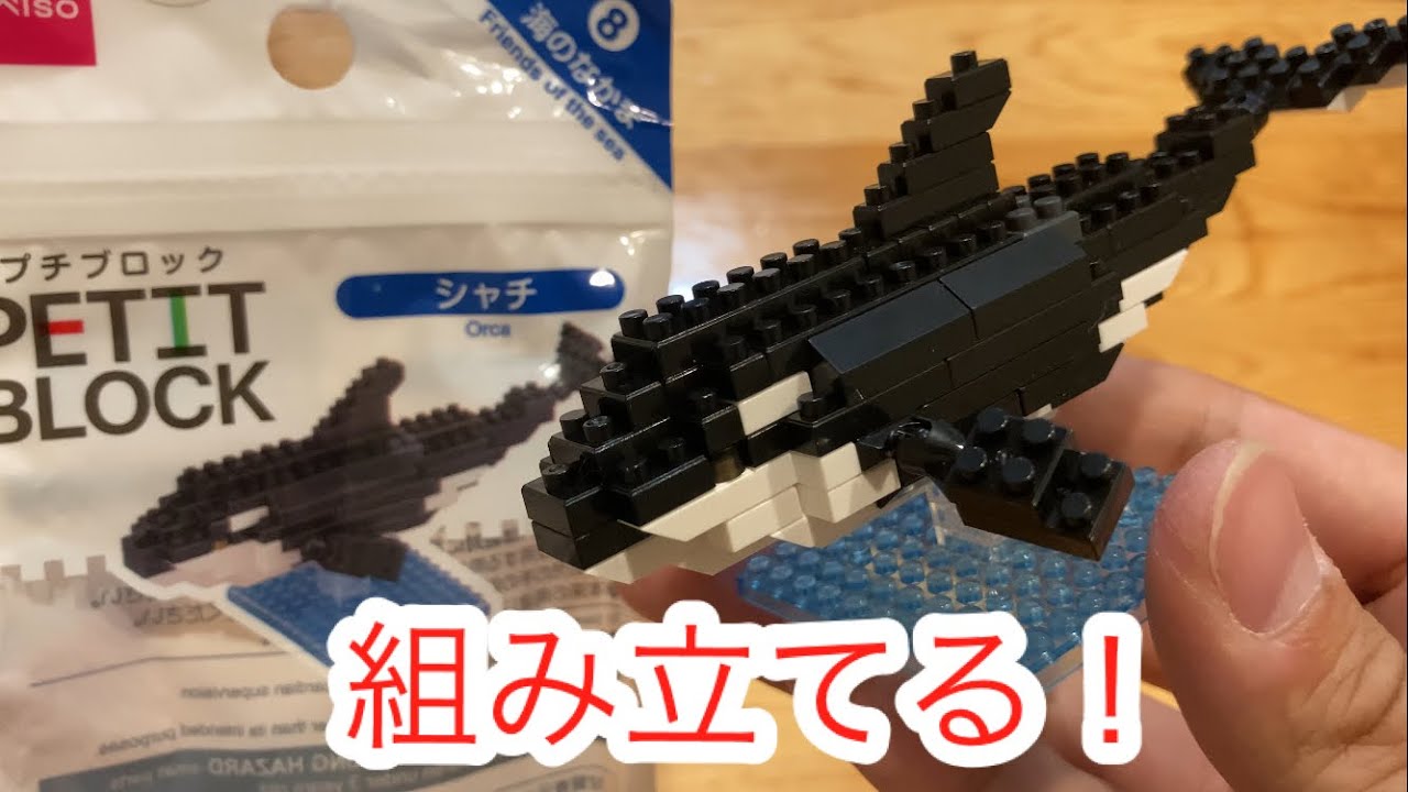 【ザ・ダイソー】プチブロックを組み立てる！海の仲間⑧シャチ