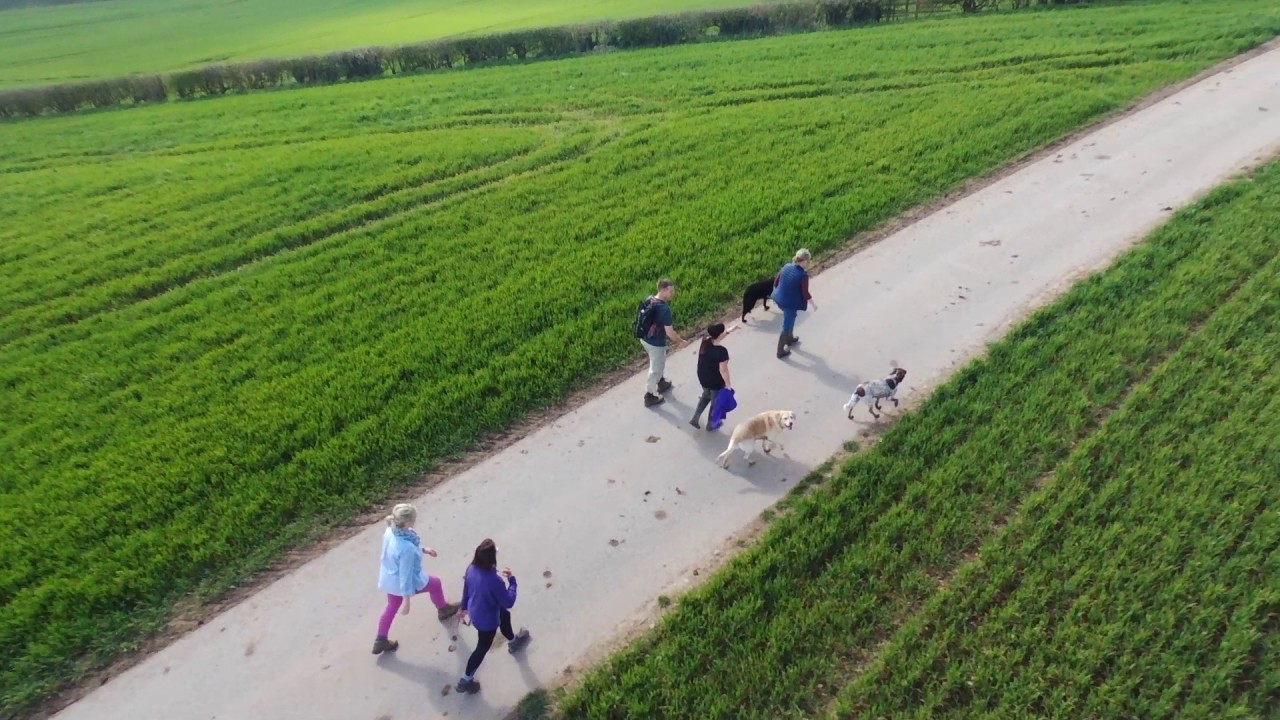 Flight with dog walking crowd....