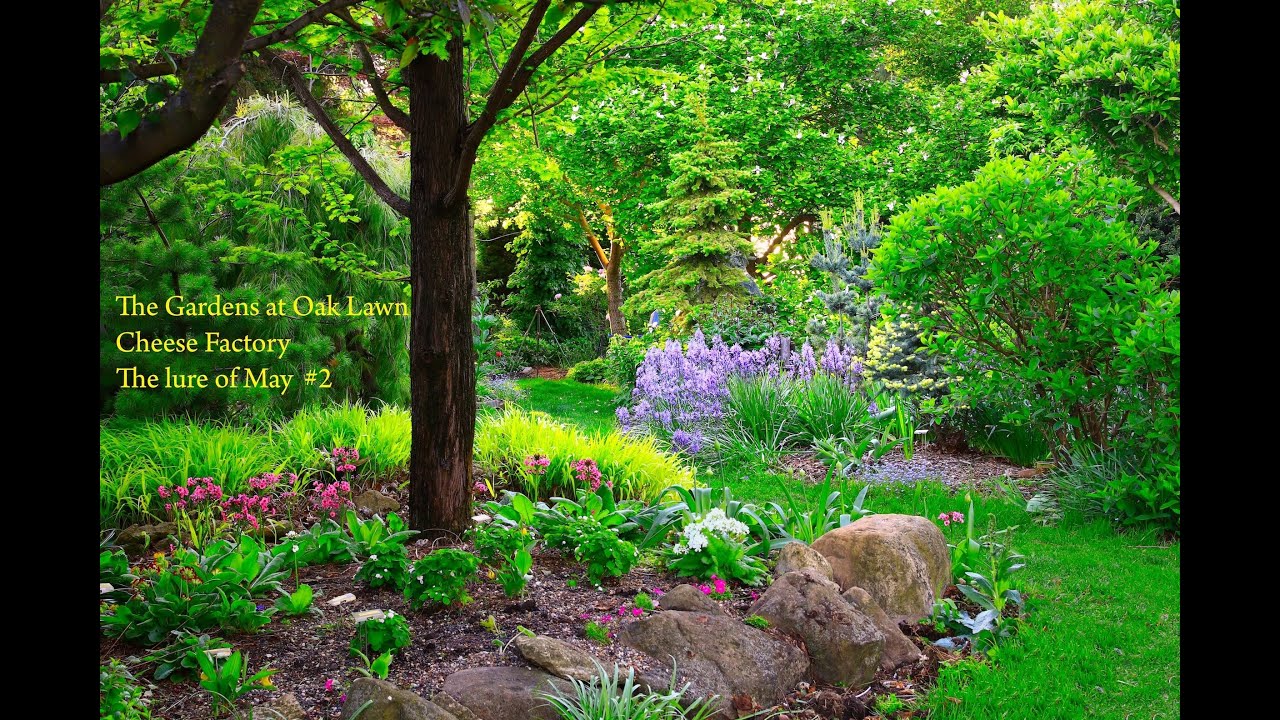 The Gardens at Oak Lawn Cheese Factory: The lure of May  #2