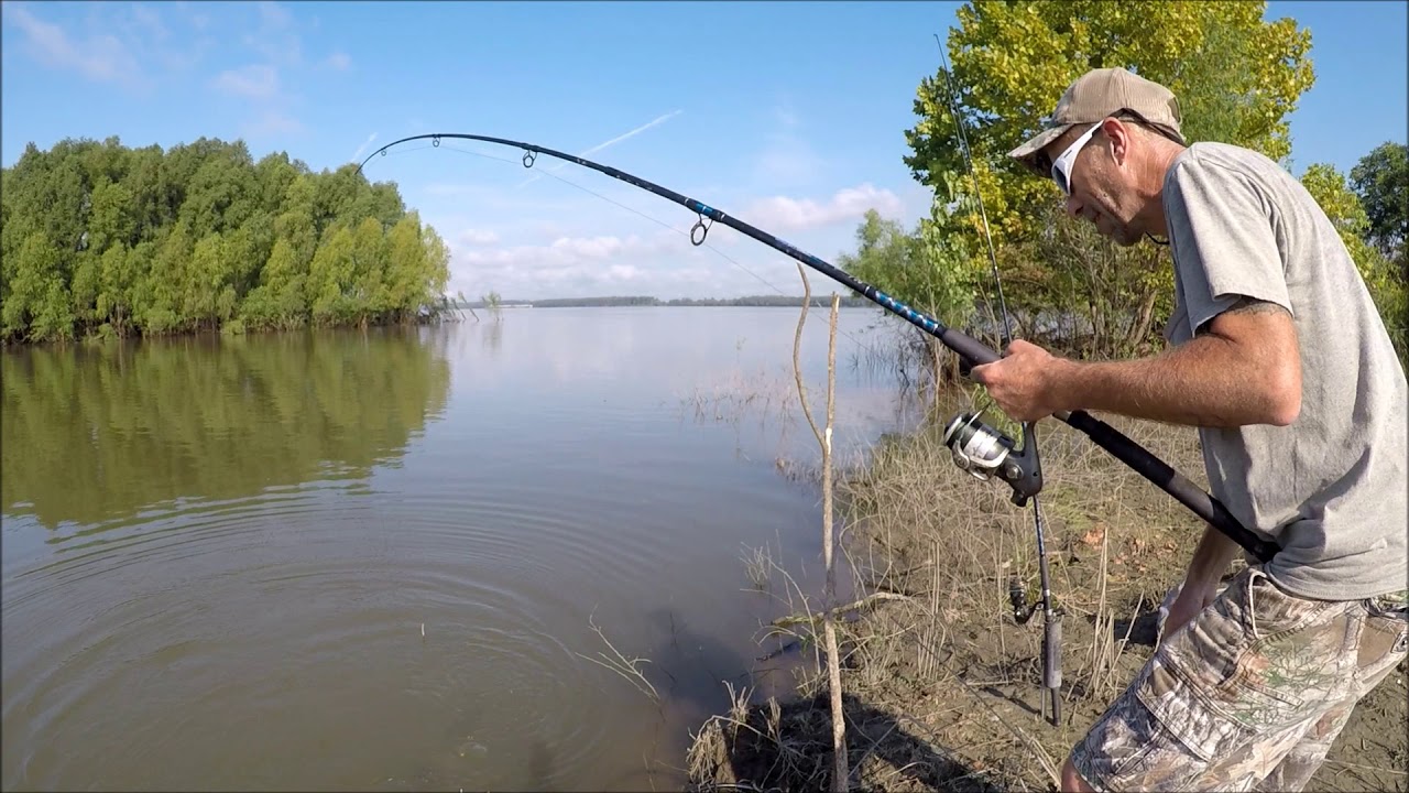 Fishing The Mouth Of a Feeder Creek, Catfish and Gar, Mississippi River