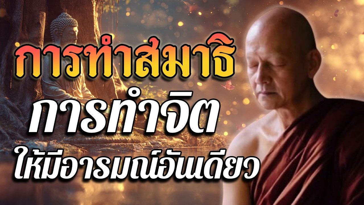 การทำสมาธิ การทำจิตให้มีอารมณ์อันเดียว ฌานสมาธิทั้ง ๙ ระดับ เห็นเกิดดับหลุดพ้นได้ #พุทธวจน