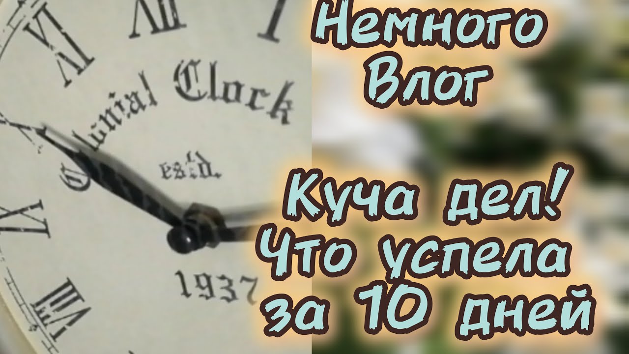 Влог. 10 дней с художником. Рисую, грунтую, снимаю🦊