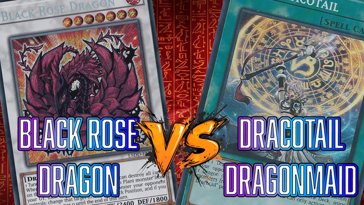 Yu-Gi-Oh! Black Rose Dragon VS Dracotail Dragonmaid Live Locals