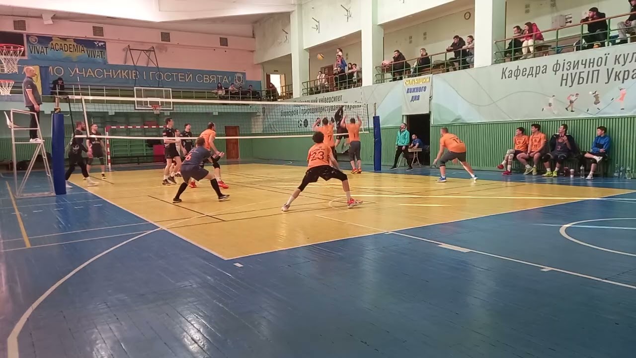 Ведмеді Фоззі - Біотус, чемпіонат Столичної Ліги, 1 дивізіон, 8 тур