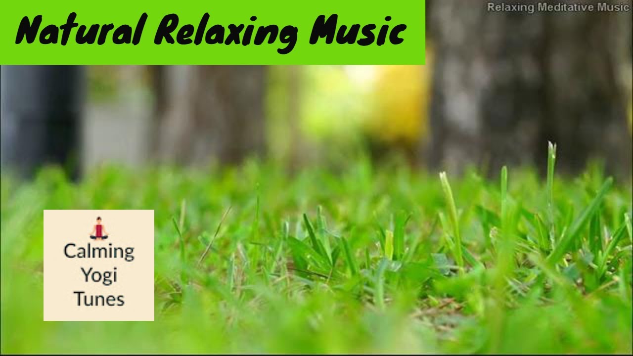 Natural Relaxing Music | 2 Hour | Grass Visualizer with Soothing Music Track | Calming Yogi Tunes