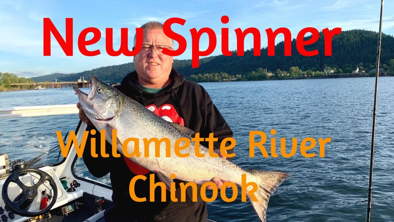 Evening Salmon fishing on the Willamette river using a very special Spinner!