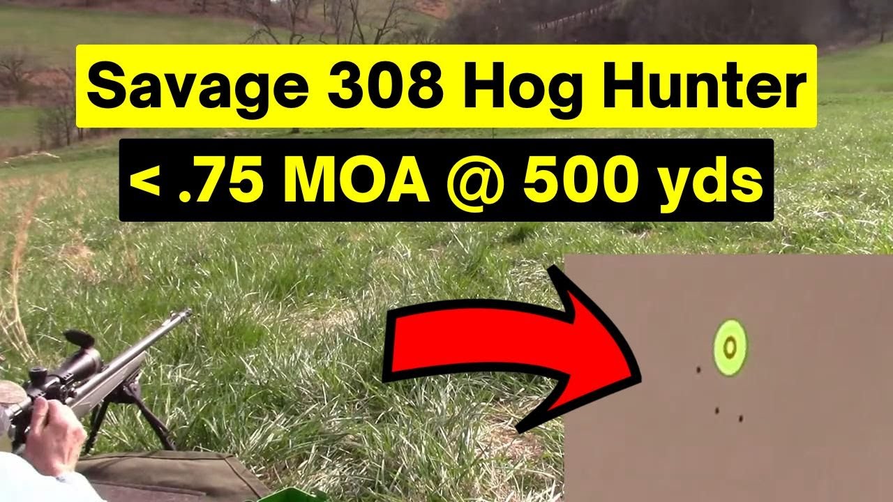 Savage .308 Hog Hunter less than .75 MOA @ 500 yards
