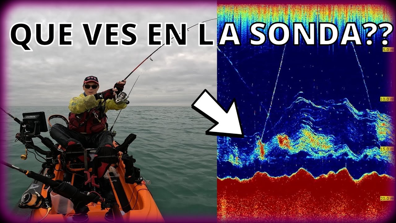 🎯PESCA LUBINAS los SECRETOS MEJOR GUARDADOS  2024