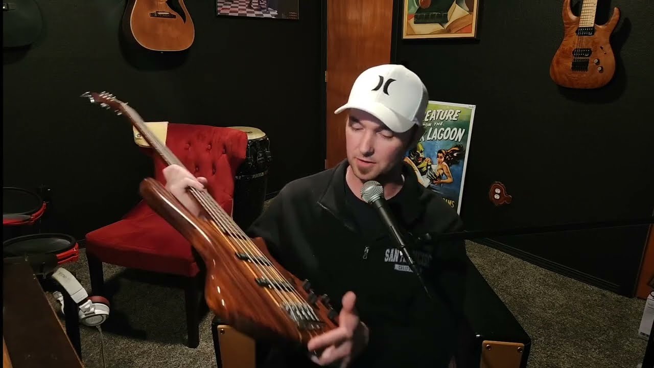 Washburn Taurus T25