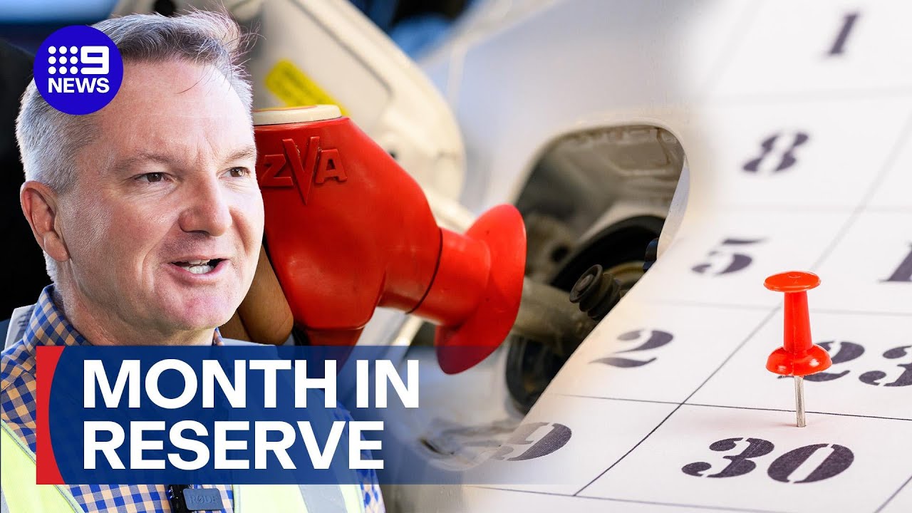 Report reveals only one month of backup fuel supply | 9 News Australia