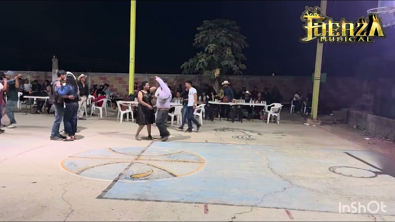 Suspiros | la fuerza musical  en la concepci&oacute;n pura Guerrero 