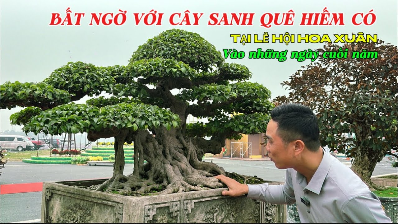 BẤT NGỜ .! Với TP sanh Quê Hiếm có tại lễ hội Hoa Xuân vào những ngày cuối năm | Quảng Tùng