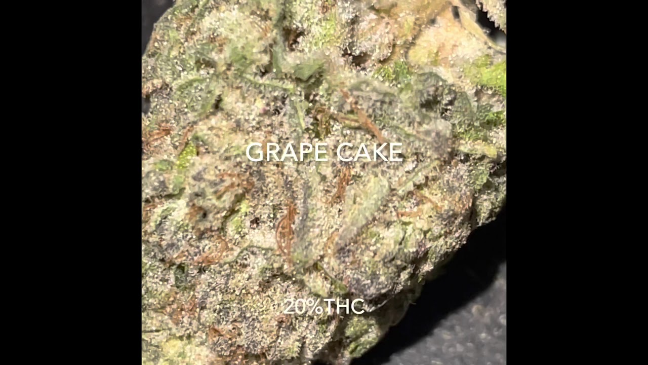 #grapecake GRAPE CAKE WEED STRAIN