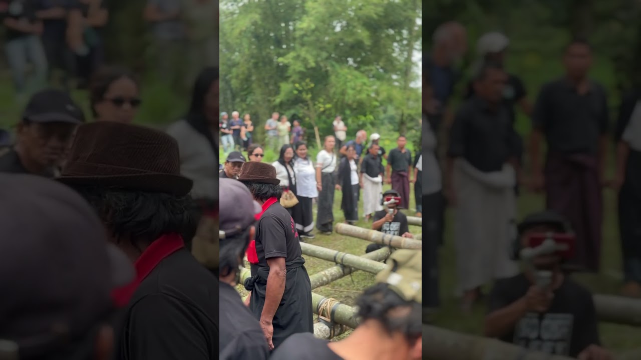 Ketika orang barat jadi torajanese #youtube #wisatainternasional