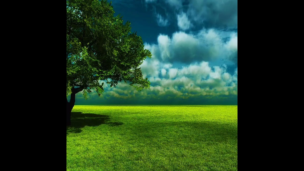 پشت بە ستن بە الله (التوكل على الله)
