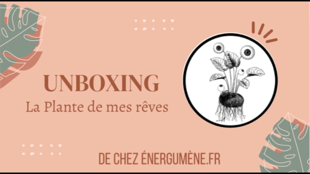 UNBOXING - ENERGUMENE - Le Philodendron n°1 de ma wWishlist