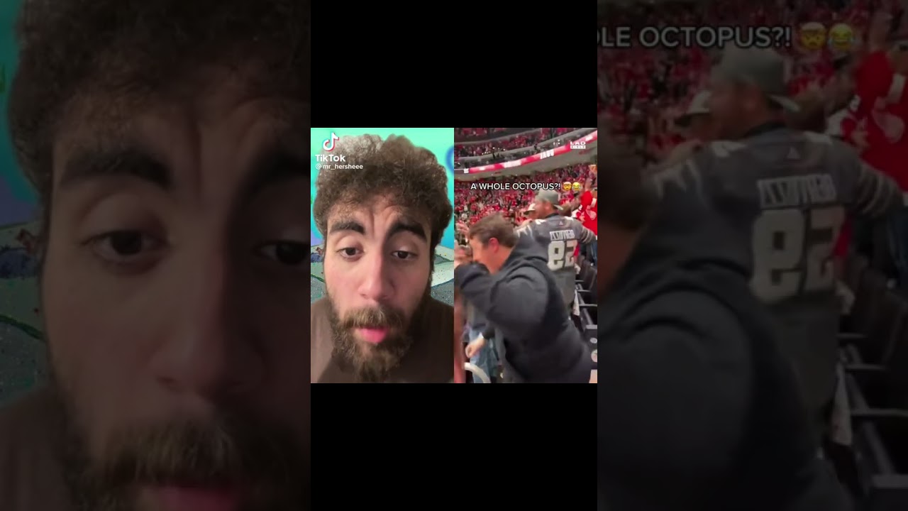 The_voicesguy tiktok complitaton