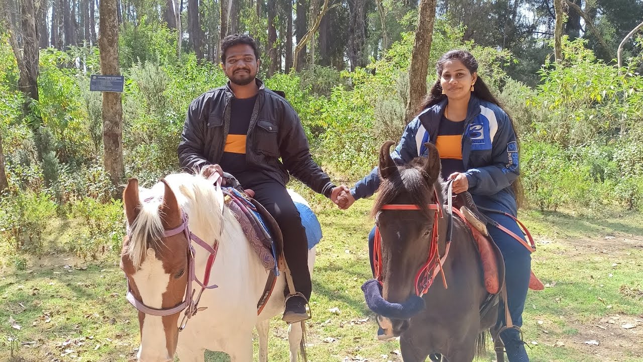 Vlog #9: Horse Riding in the woods ft. Nalaemton & Abesha | Ooty, India