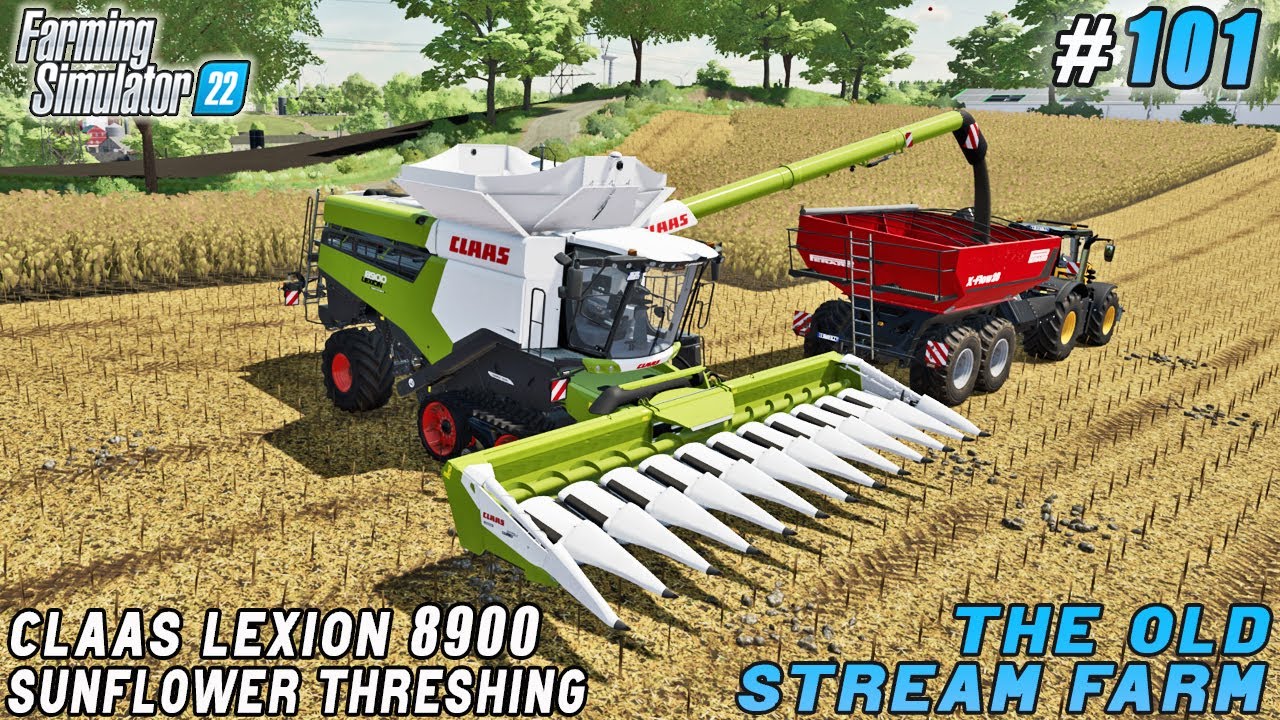 Making profit, investing 600K in new CLAAS LEXION 8900 combine | The Old Stream Farm | FS 22 | #101