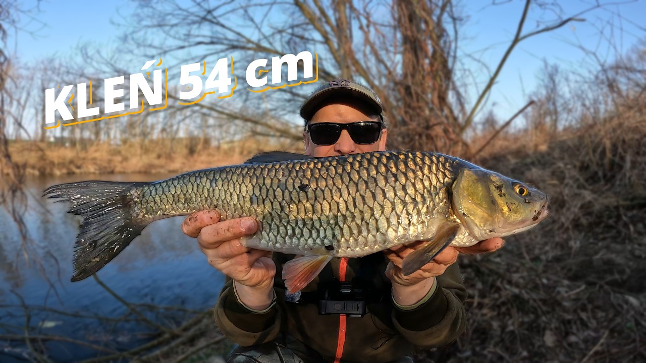 Kompletnie mnie zaskoczył… kleń 54 cm na micro jig