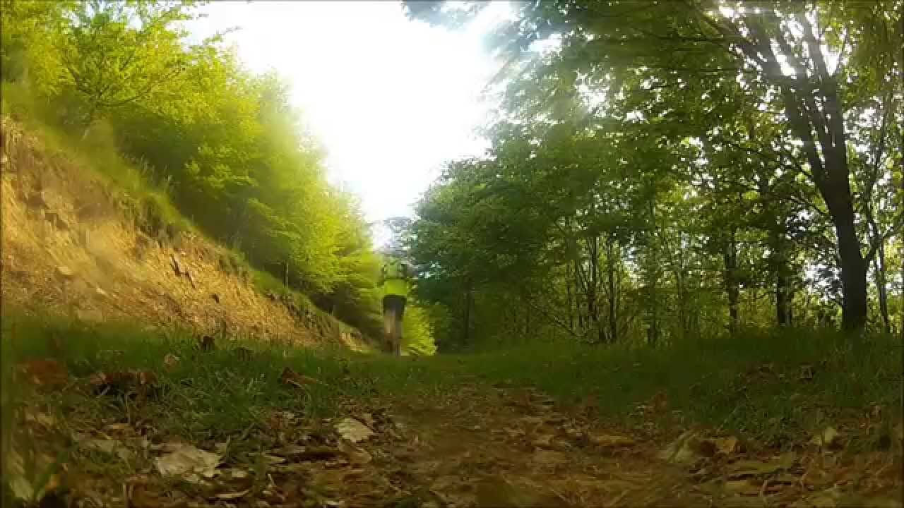 Running en los alrededores del monte Oiz- Korrikan Oizko mendian zehar