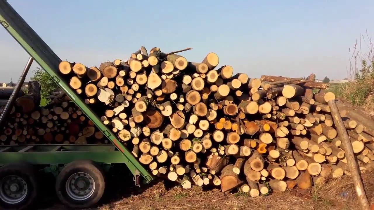 EMILIA-ROMAGNA: Legna da ardere, boom di acquisti in vista dell'inverno