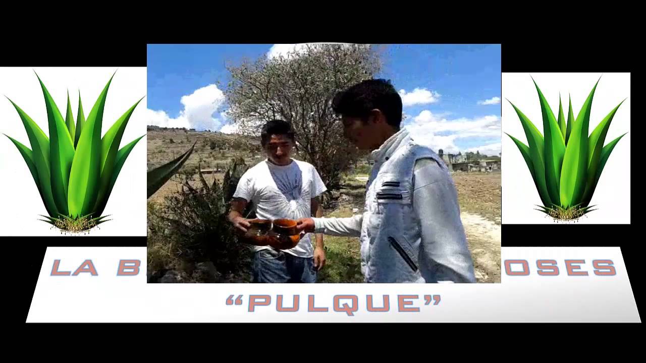 Comercial Del Pulque