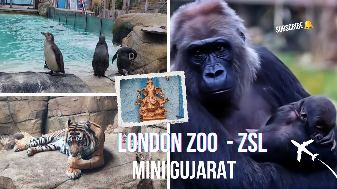 ZSL - London 🇬🇧 Zoo Regent Park Zoo 🐘🐼🐯 Zoological Society of London 