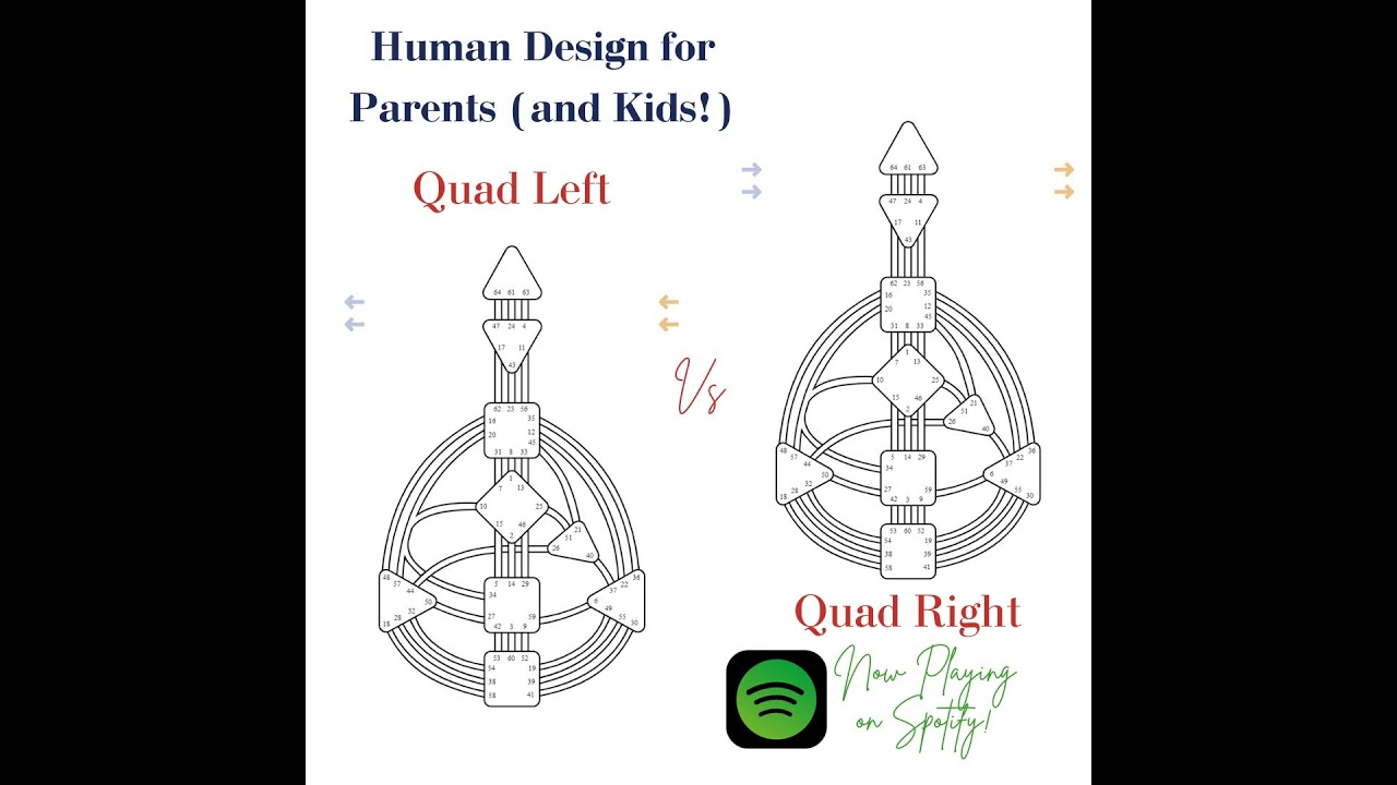 Quad Left vs Quad Right (Human Design Variables) Part 2