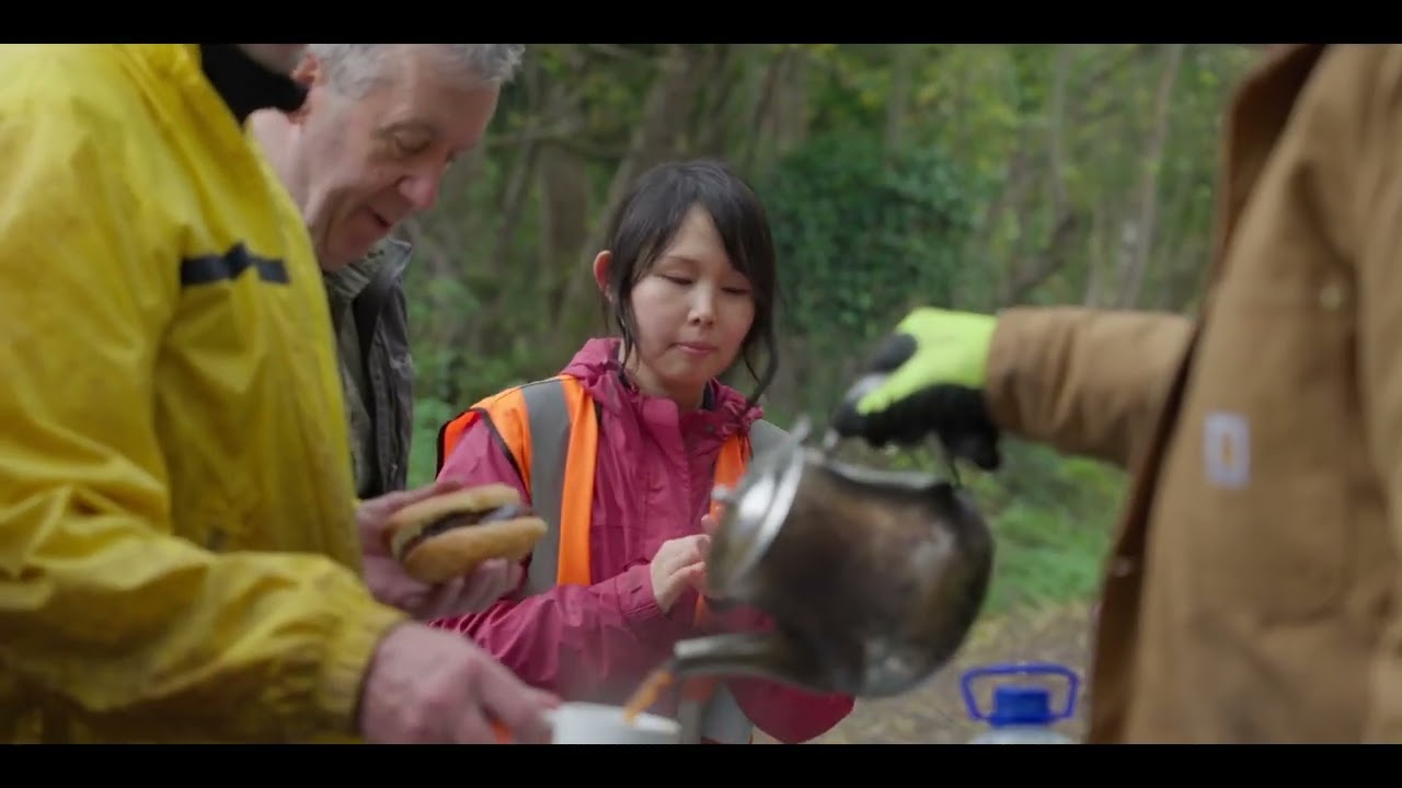 Rhodo Control - Abbey Wood Killarney National Park