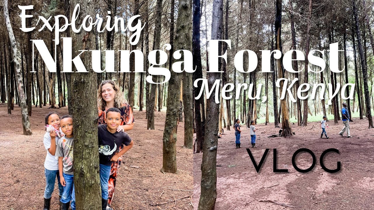 Nkunga Forest Adventure | Meru, Kenya | Our Life in Kenya | Safari Van | Family Time | Vlog