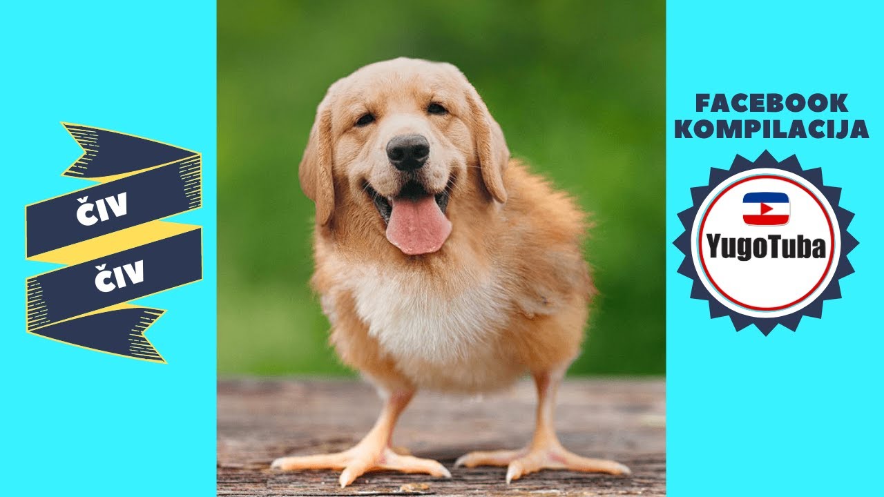 Smešnice Za Čudovite Ljudi - Yugotuba