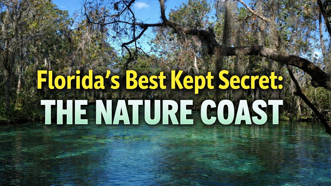 Florida Nature Coast Living: Why Move to Florida Nature Coast Now?