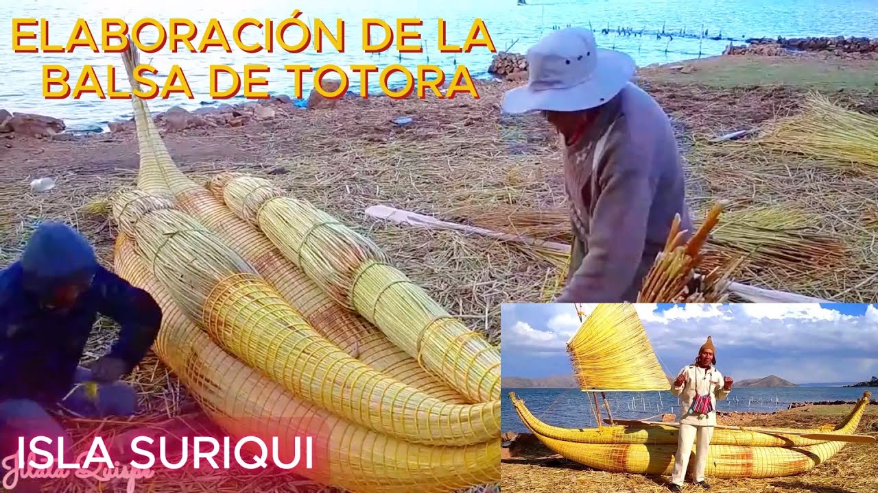 Así se fabrican LAS BALSAS DE TOTORA en ISLA SURIQUI, Lago Titicaca La Paz - Bolivia