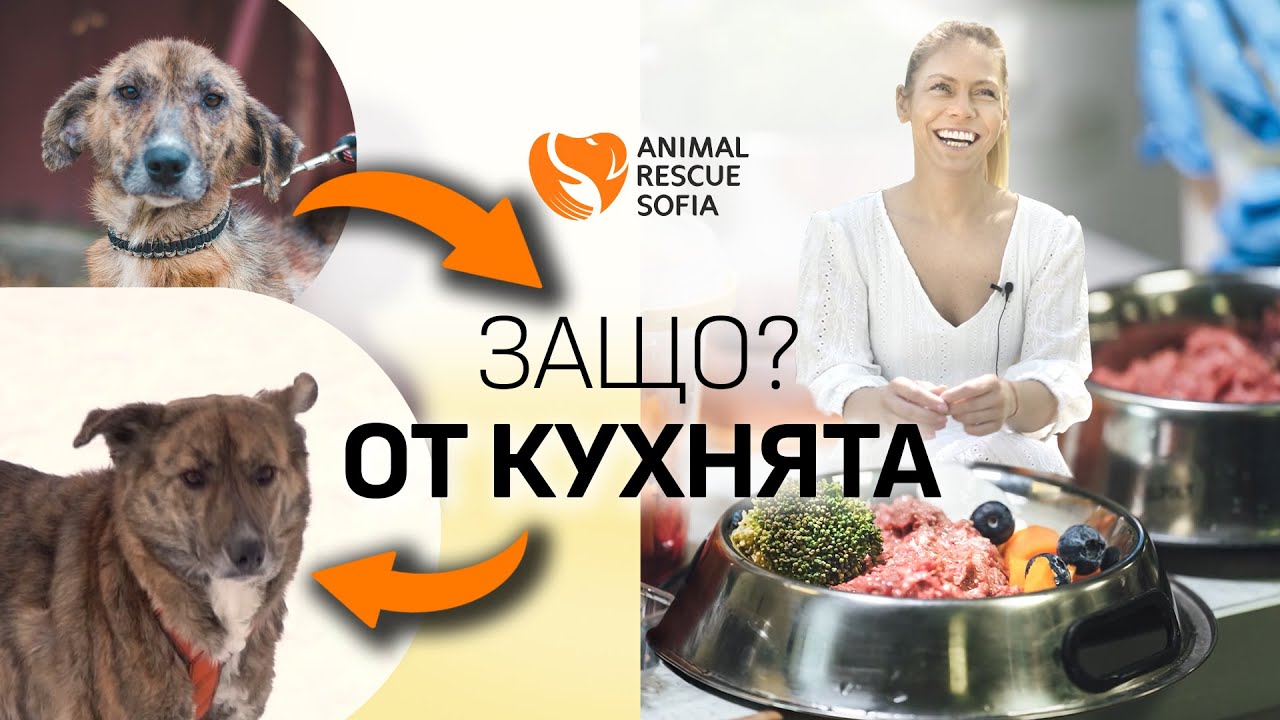 От КУХНЯТА на приют 